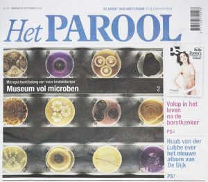 Het Parool artikel over in epoxy geconserveerde microben